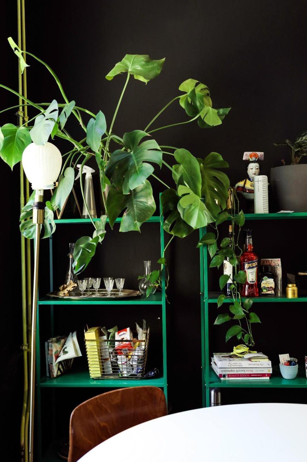 Geishas Charming Gem By Viktoria Park Apartment